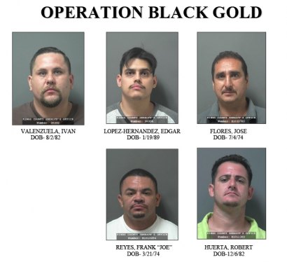 Five suspects in Operation Black Gold pled guilty in Kings County Superior Court.